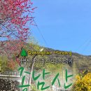 남동마을회관 이미지