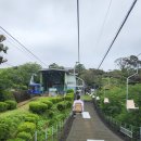 [일본 마츠야마] 인천↔마츠야마 공항(제주항공) 입출국심사, 가볼만한 곳, 여행팁