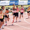 교보생명 연합뉴스
