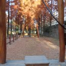 한강근린공원 이미지