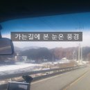 두메아리 이미지