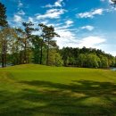 버디골프스쿨 이미지