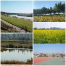 시민체육공원(야구장)화장실 이미지