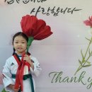 강찬태권도장 이미지