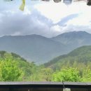 [하동&amp;구례 여행] 지리산치즈랜드 | 구례 보트 타는 곳 | 정금차밭 | 타파커피 | 바꿈살이 _ 구례 소품샵