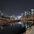 이진캐스빌공인중개사사무소 이미지