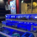 통굴통굴 이미지