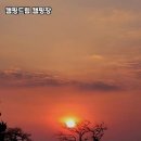 힐링과 낭만의 만남, 캠핑드림 캠핑장 방문 후기
