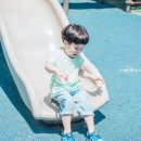 종려나무사진관