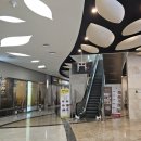 부산국제금융센터 | 부산국제금융센터 문현동맛집, BIFC맛집 &#39;풀이랑 샐러드&#39; 샐러드파스타&amp;돼지목살웜볼 후기