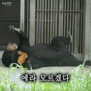 두레통닭(미사점) | 열네 번째_두레통닭 미사역점 그리고 생레몬하이볼