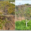 수양목장 이미지