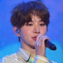 개이쁘다 이미지