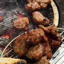 [등촌역/증미역] 고기 맛집 등촌정육식당 방문 후기! (삼겹살, 오겹살, 돼지갈비)