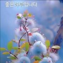 새날 이미지