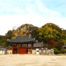 시산리(여) 네이버블로그