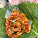 창원시청 맛집 점심, 저녁식사로 추천하는 "용호동낙지 창원시청점" 솔직후기