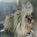 묘곡내동길 이미지