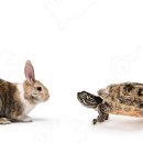 토끼와거북이 이미지