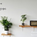 슬기로운 펜션 이미지