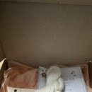 복둥이 | 액막이 명태 자석 국산 액막이 명태 복둥이 귀엽 내돈내산 후기