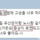 고센푸드