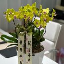 광개토여왕공인중개사사무소 | 아뜰리에윤 화실 ll 세종시 수변상가의 감성 공간