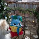 도토리(dotori) 이미지