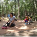 부산치유의숲 방문자센터 이미지