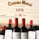 로타(LOTA) 이미지