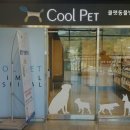 쿨펫동물병원광교