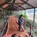 폭신폭신 이미지