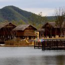 고령농산 이미지