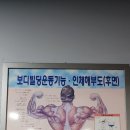 보디빌딩 기능(인체해부도) 이미지