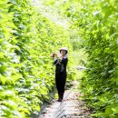 재호농장2 이미지