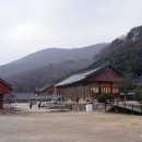 동백 유기농원 이미지