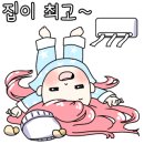 동진카용품 이미지