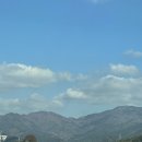 디저트39 남원춘향점 이미지