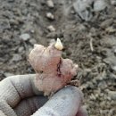 황진농장 이미지