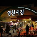 영천민물장어 이미지