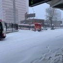 눈보라식당 이미지