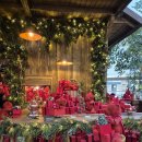 (주)레드코드 | 더현대서울 크리스마스 빌리지 웨이팅 큐알코드 주차 예약없이 현장대기 시간