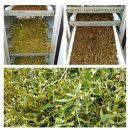 옹달샘한의원 | 겨우살이즙 건강즙 추천 옹달샘식품이 맘에 들어