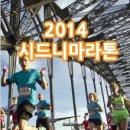오픈케어스포츠 네이버블로그