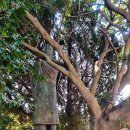 신산초난산분교장 이미지