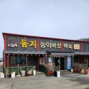 [부모님과 갈만한 식당] 강원도 철원- 둠지능이버섯백숙