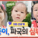 11월16일 내 아이의 사생활 선공개 &#39;허그 삼둥이&#39; 34개월 베이비들의 첫 심부름 대장정 영상 이미지