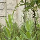 동원당한의원 이미지