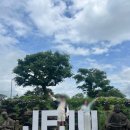 덕수농장 | 16주차 임산부 제주 3박4일 여행(보말칼국수,봉주르마담,티나케이크,송악산,노고록,선채향,고기장,동화...