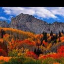 접지이론의 깨달음 이미지